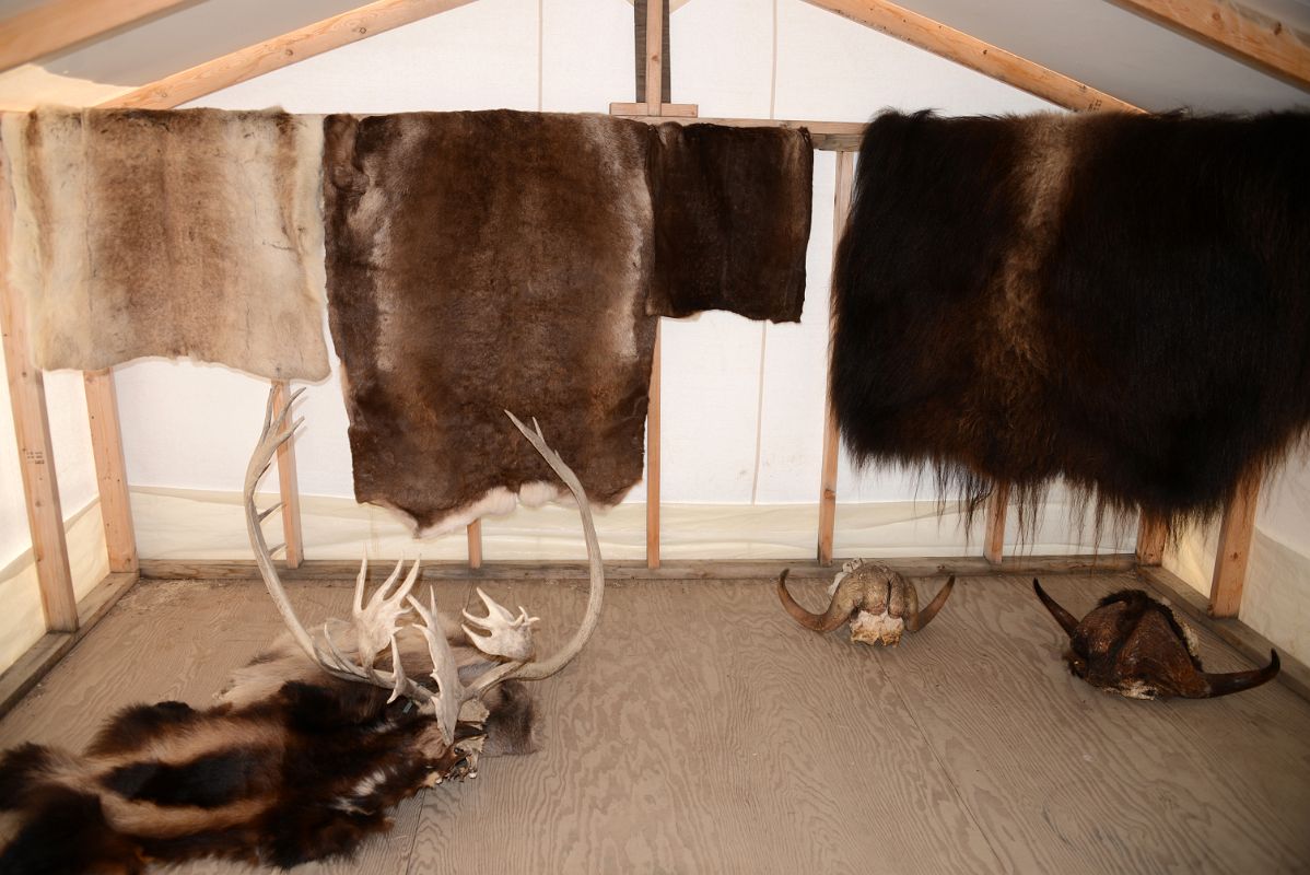 08D Animal Furs And Horns Inside Eileen Jacobson Showroom On Arctic Ocean Tuk Tour In Tuktoyaktuk Northwest Territories